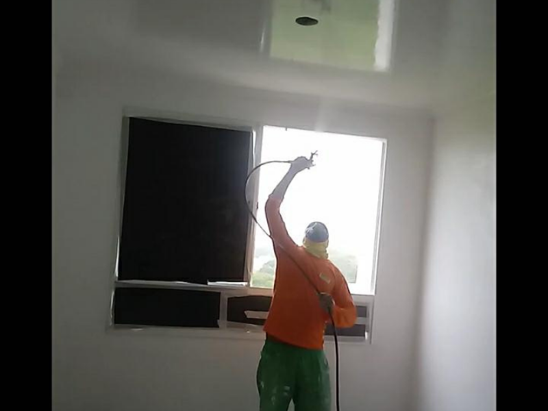 Pintura Látex Jateada
